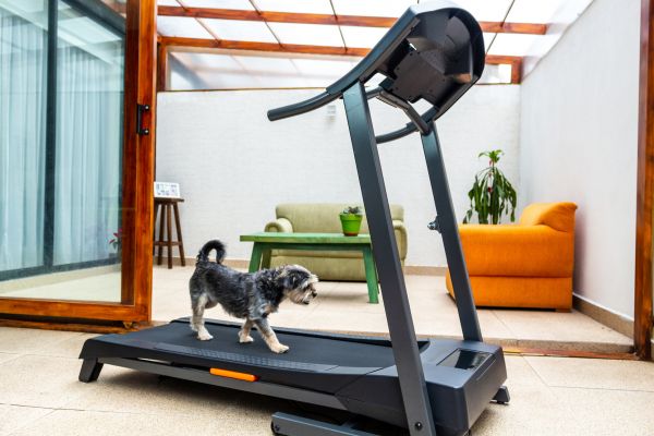Cost of Treadmill Installation in Merritt Island