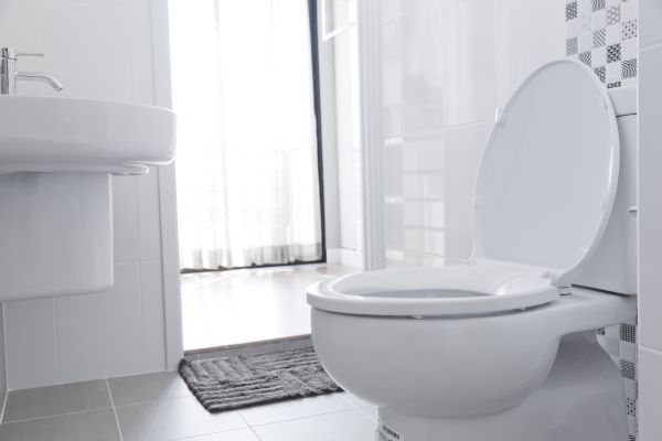 Cost of Toilet Seat Installation in Merritt Island