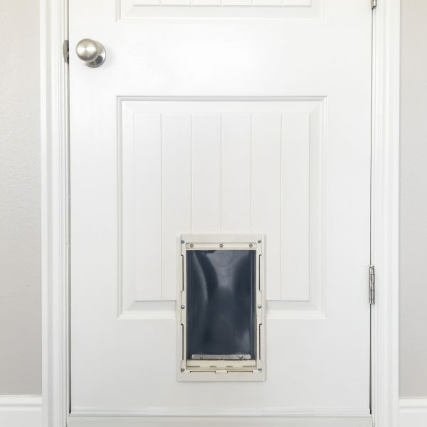 Cost of Pet Door Repair in Merritt Island