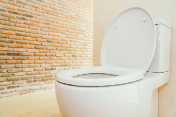 Cost of Toilet Seat Repair in Merritt Island